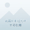我为天地一仙人